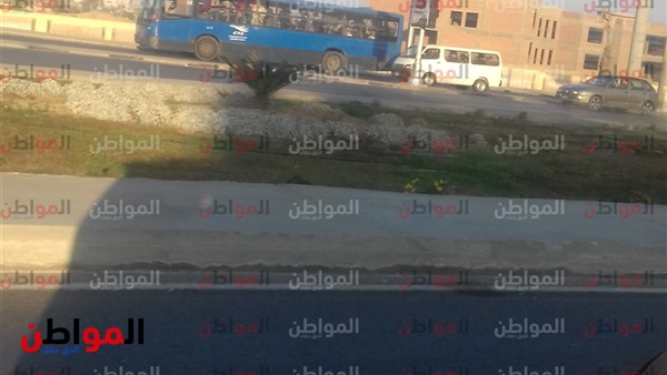 المواطن