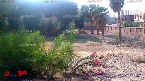 قرية بنجا