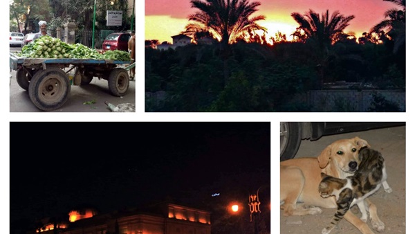 حكايات مصر الحلوة