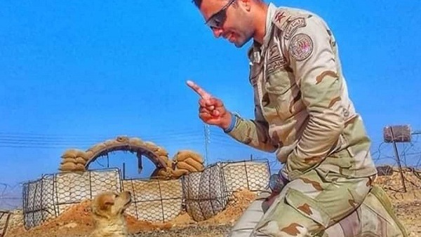 المواطن