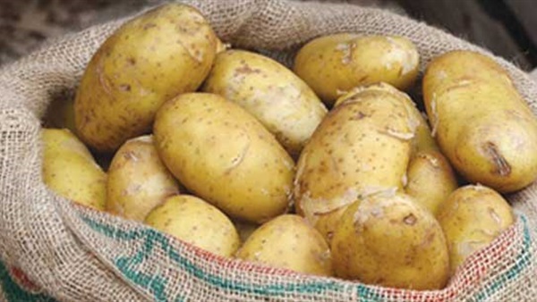 سعر البطاطس اليوم