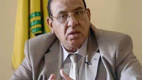 طلعت عبد القوي في