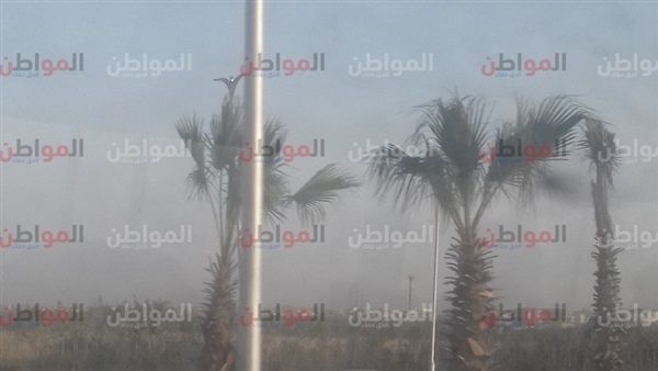 أحوال الطقس بالجيزة