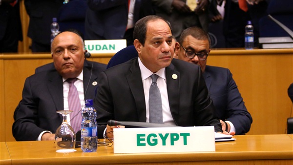 الرئيس السيسى وأفريقيا
