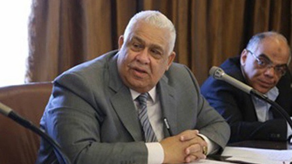 النائب همام العادلى