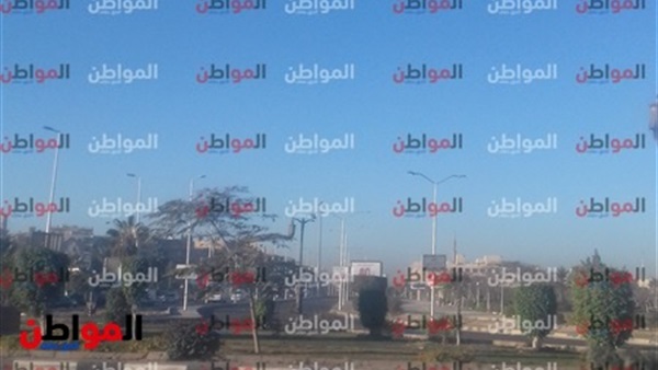 المواطن
