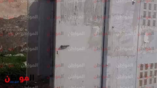 المواطن