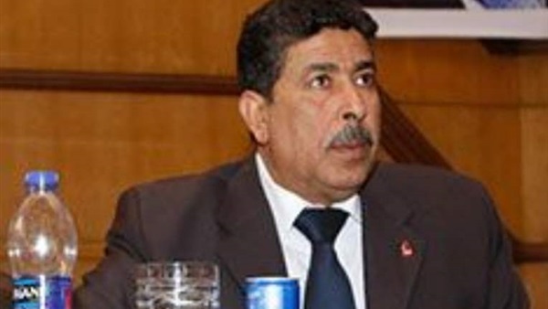 ابراهيم هيكل