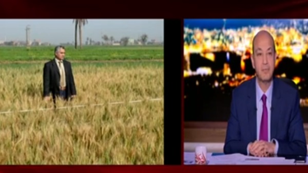 برنامج الحكاية