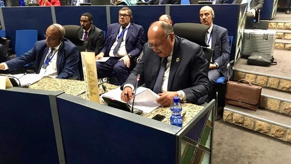 سامح شكرى وزير الخارجية