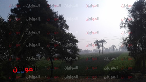 .حالة الطقس في محافظة