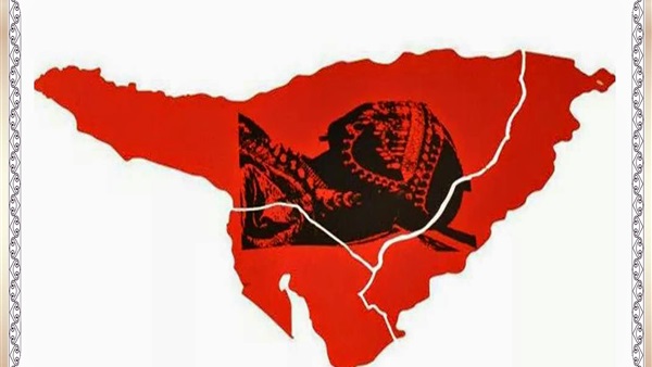 المواطن