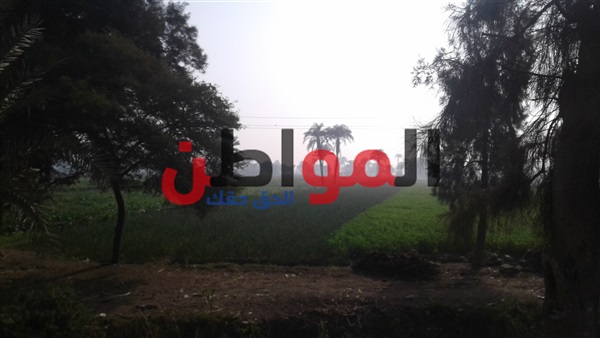 أحوال الطقس ببني