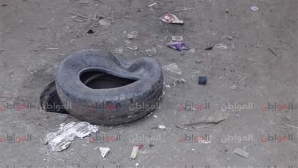 مشكلات قرى قويسنا