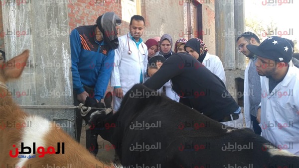 جانب من القافلة المجانية