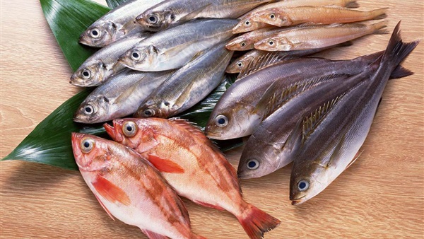 اسعار السمك في سوق