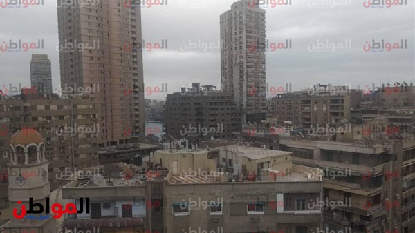 المواطن