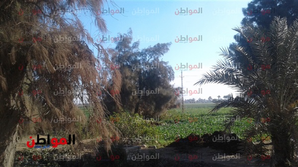 هيئة الأرصاد الجوية