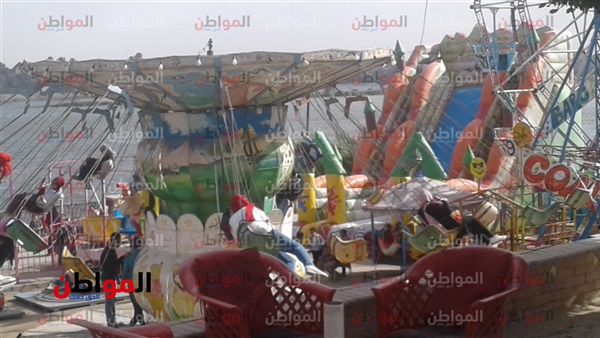المواطن