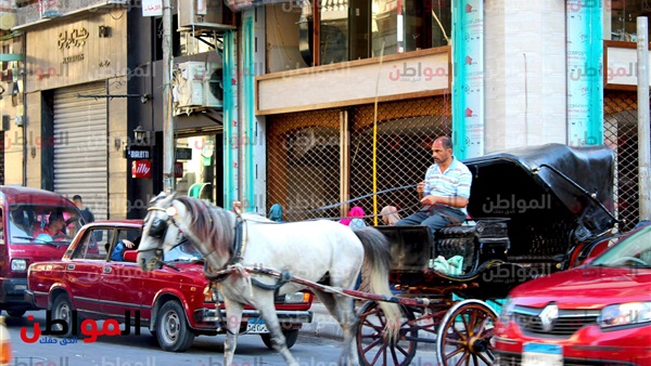 شارع فؤاد بالإسكندرية