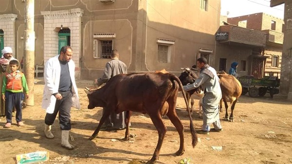 الحملة القومية لتحصين