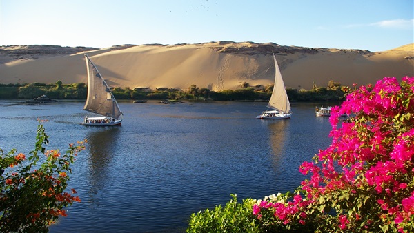 منتدى الشباب العربي
