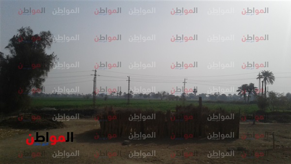حالة الطقس ببني سويف