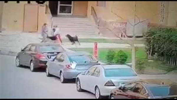 طفل مدينتي ضحية هجوم
