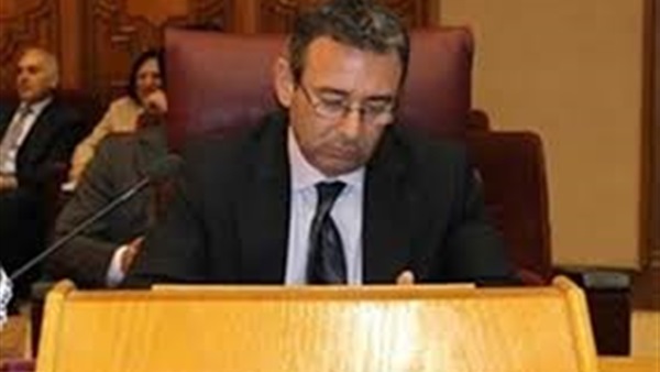 السفير طارق عادل