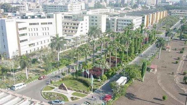 جامعه المنصورة