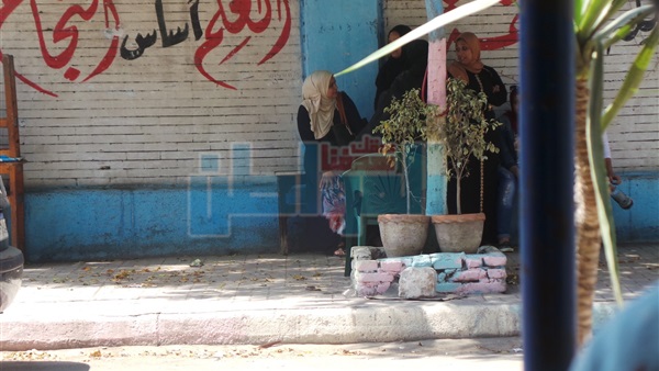المواطن