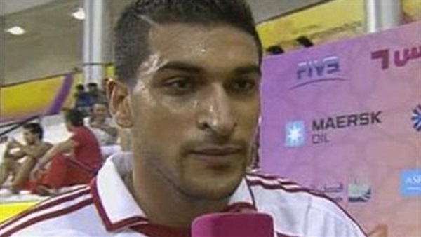 رضا هيكل