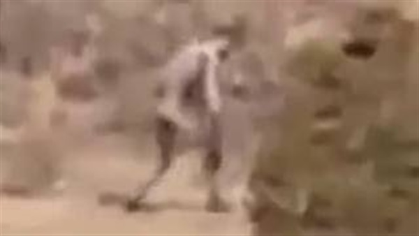 المواطن