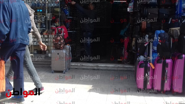 المواطن