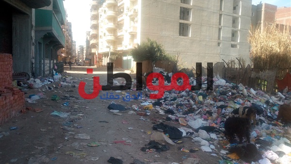 انتشار أكوام القمامة
