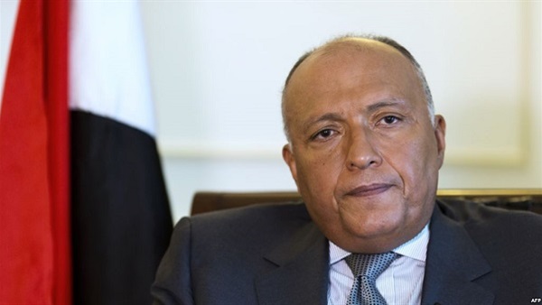 سامح شكرى