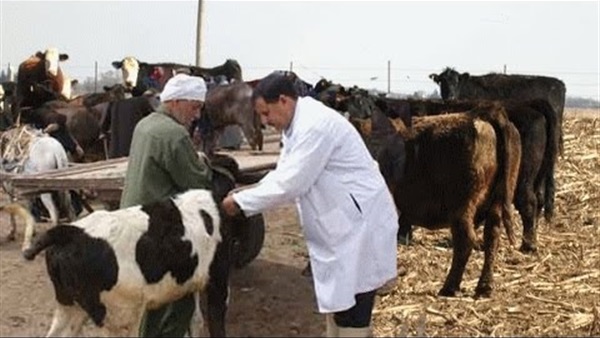 بيطري سوهاج