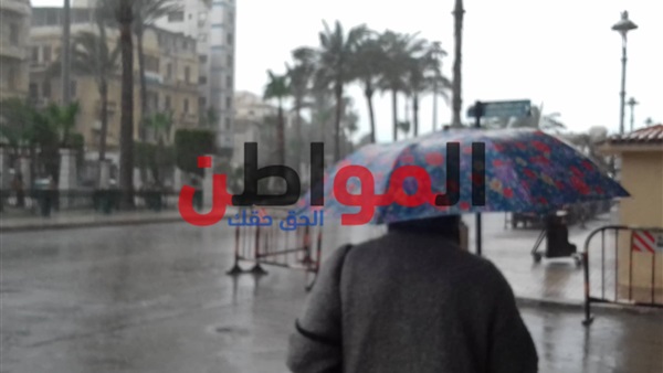 أمطار متوسطة تضرب