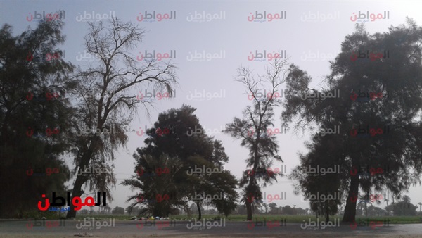 هيئة الأرصاد الجوية