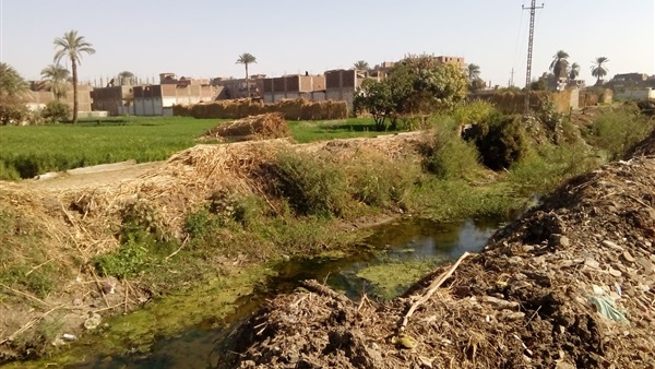 نقص المياه في الترع