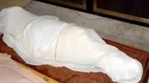 حوادث المنوفية