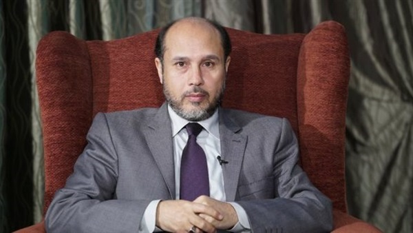 أيمن الفايد - مستشار