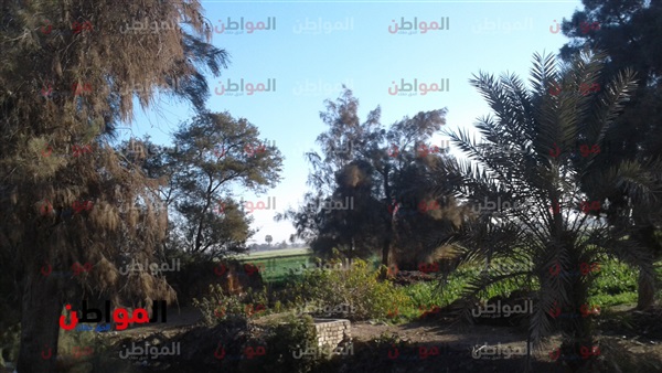 أحوال الطقس ببني
