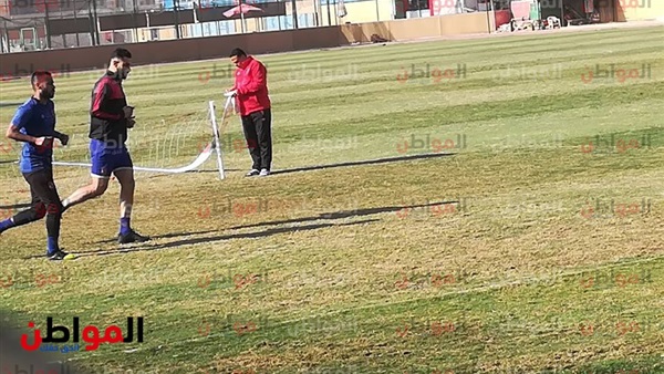 عمرو السولية