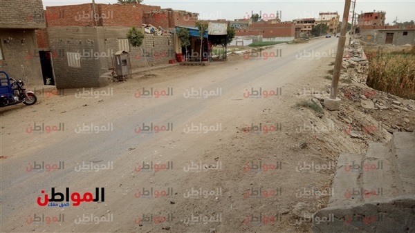 المواطن