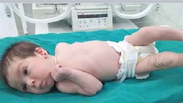 أخبار المفقودين