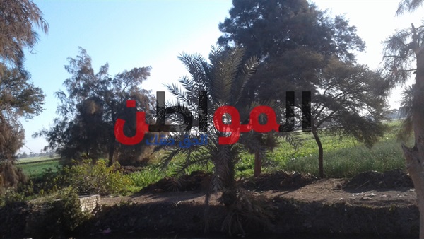 استقرار الأحوال الجوية-محافظة