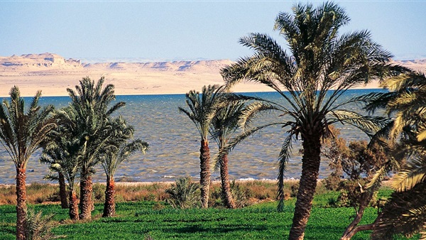 حالة الطقس-درجات