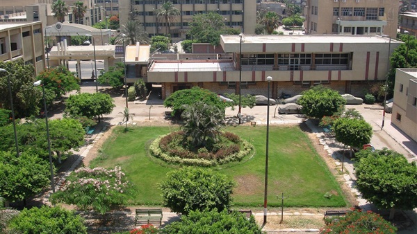 مجلس جامعة الزقازيق