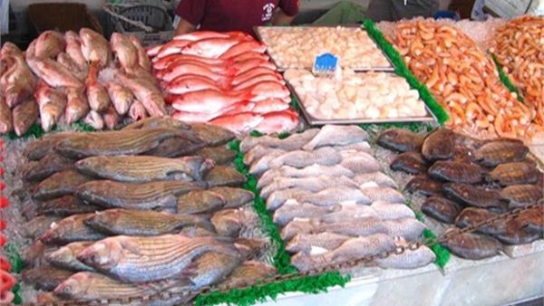 أسعار الأسماك فى
